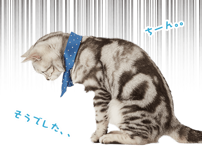 ユウ「そうでした、、」ちーん。。