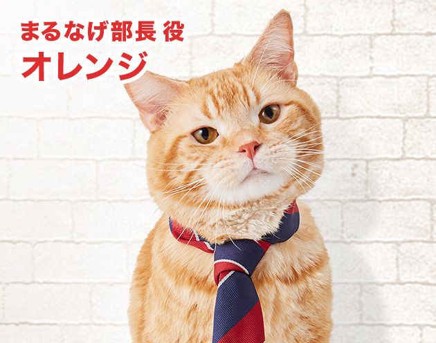 まるなげ部長役 オレンジ