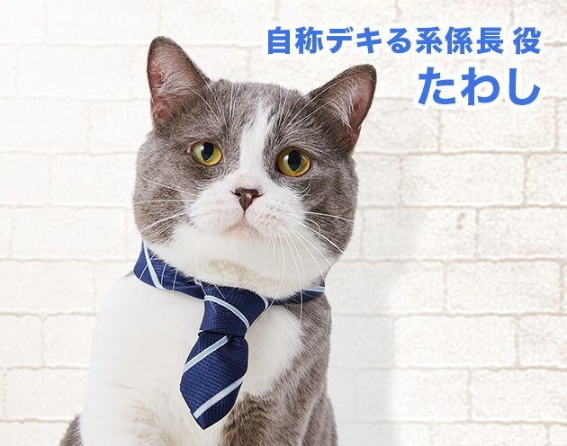 自称デキる系係長役 たわし