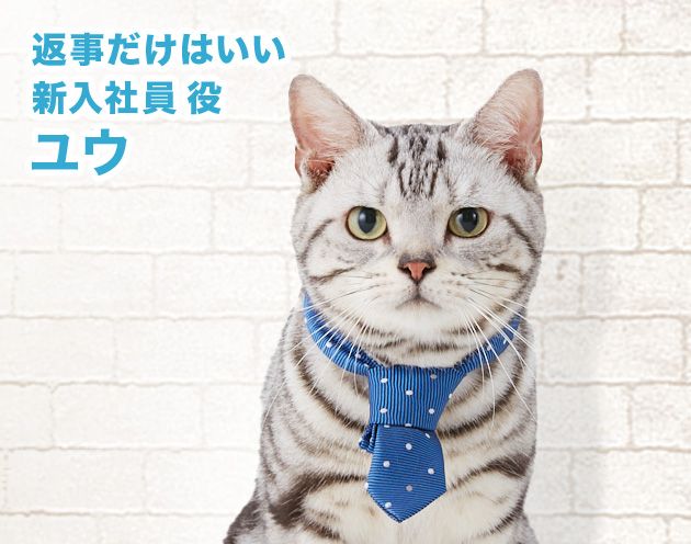 返事だけはいい新入社員役 ユウ