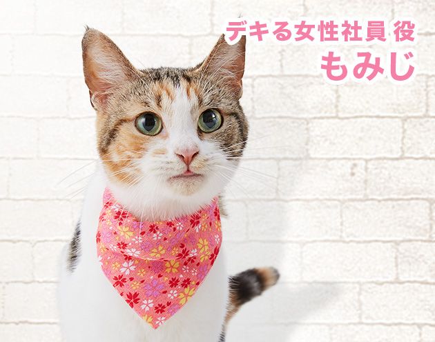 デキる女性社員役 もみじ