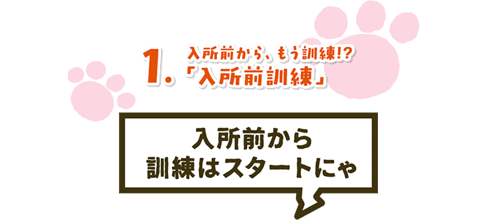 1. 入所前から、もう訓練!?「入所前訓練」入所前から訓練はスタートにゃ