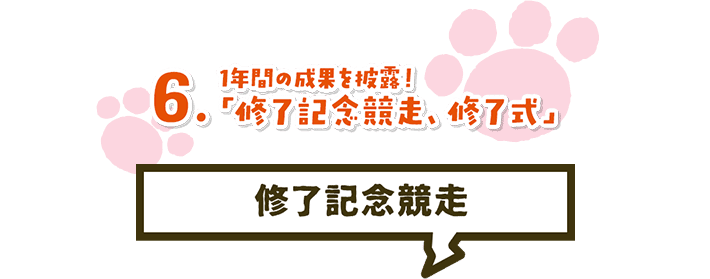 6. 1年間の成果を披露!「修了記念競走、修了式」修了記念競走