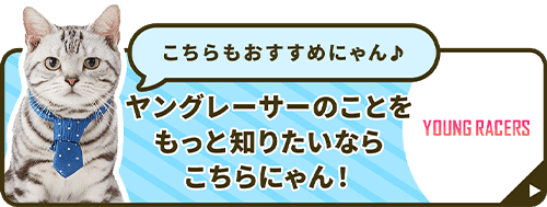 こちらもおすすめにゃん♪ ヤングレーサーのことをもっと知りたいならこちらにゃん！ YOUNG RACERS
