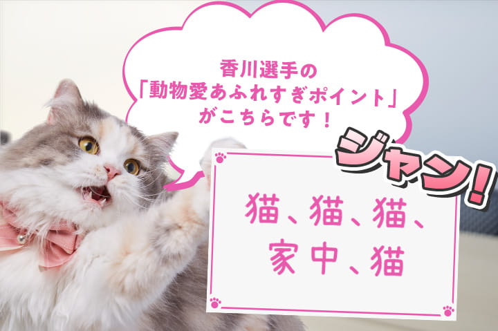 のえる「香川選手の「動物愛あふれすぎポイント」がこちらです！」 猫、猫、猫、家中、猫