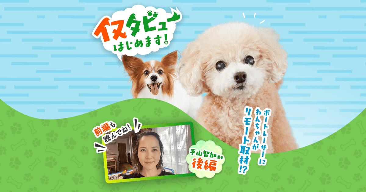 平山智加選手 後編｜わんちゃんのリモート取材！？イヌタビューはじめ