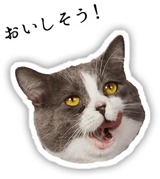 たわしくん「おいしそうう!」